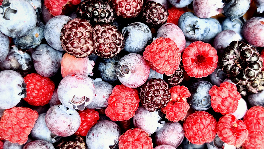 Découvrez les aliments brûle-graisses pour une alimentation équilibrée et savoureuse