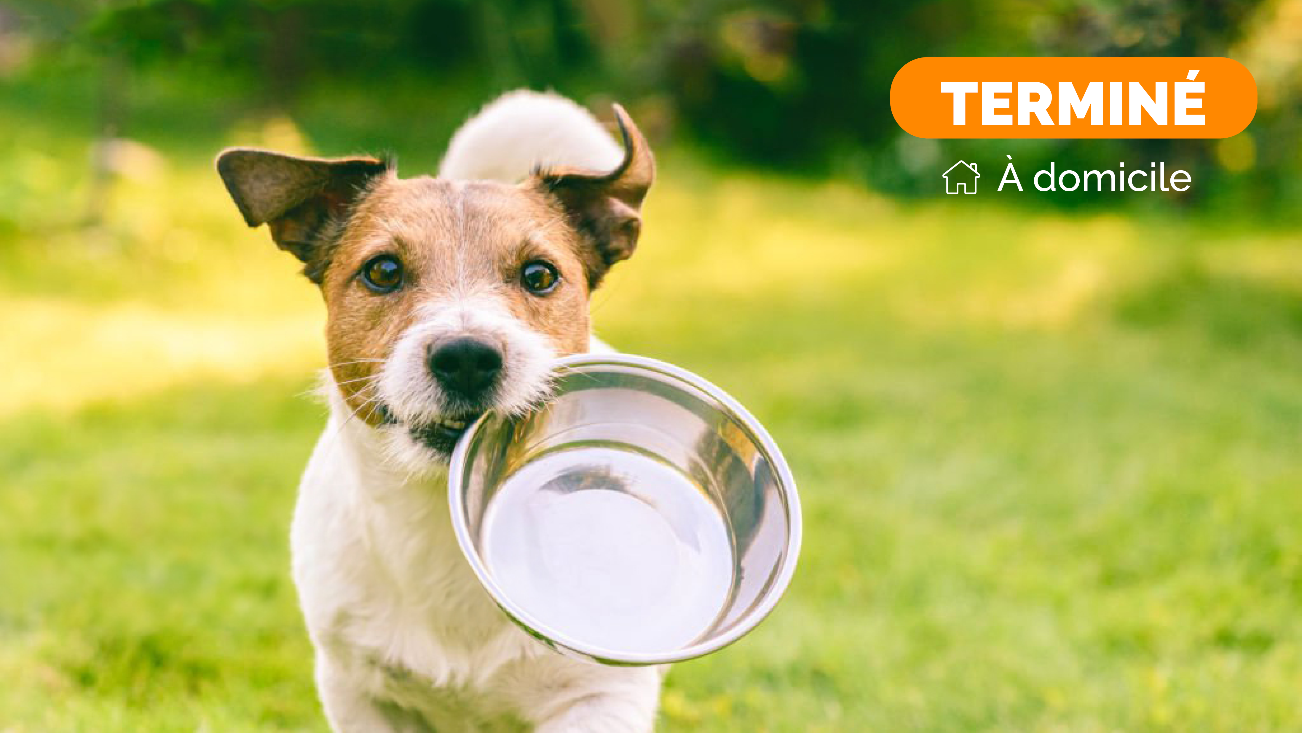 Test à domicile de nourriture pour chien !
