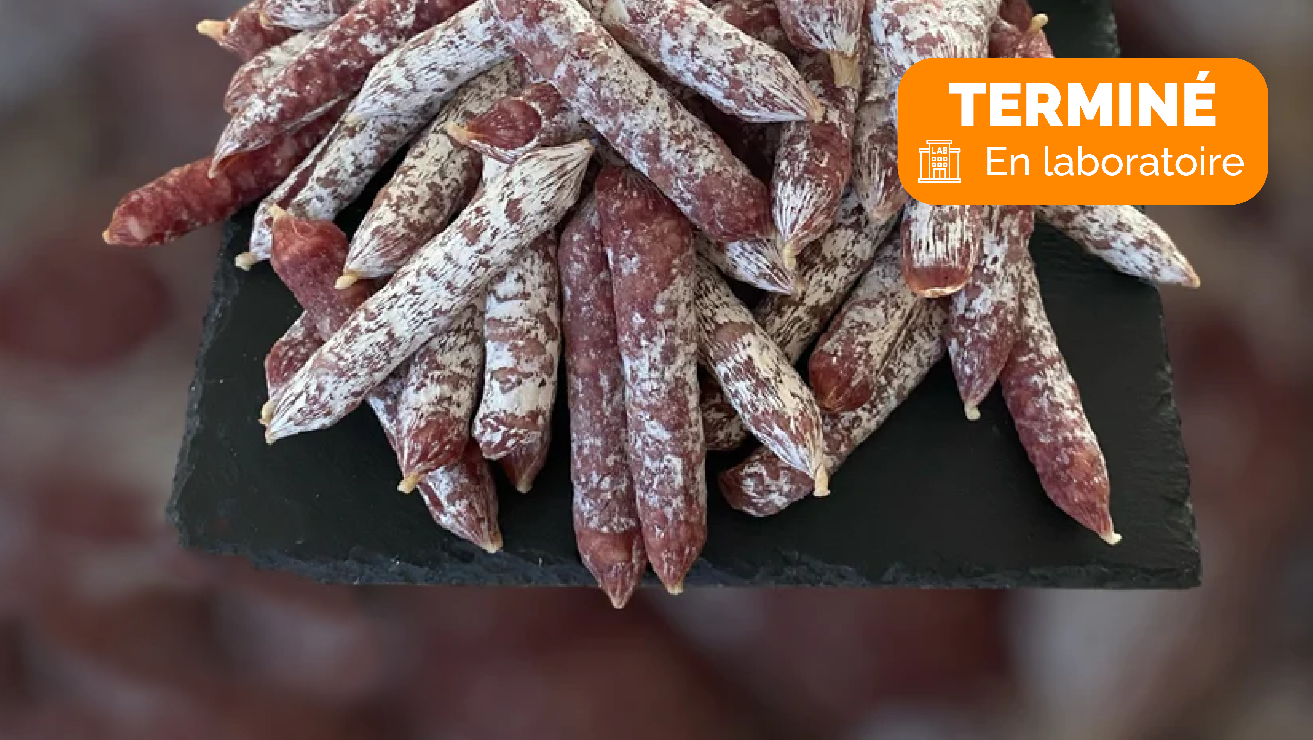 Dégustation de saucisson indemnisée à Nantes, Lille et Cergy : le bon plan pour devenir testeur
