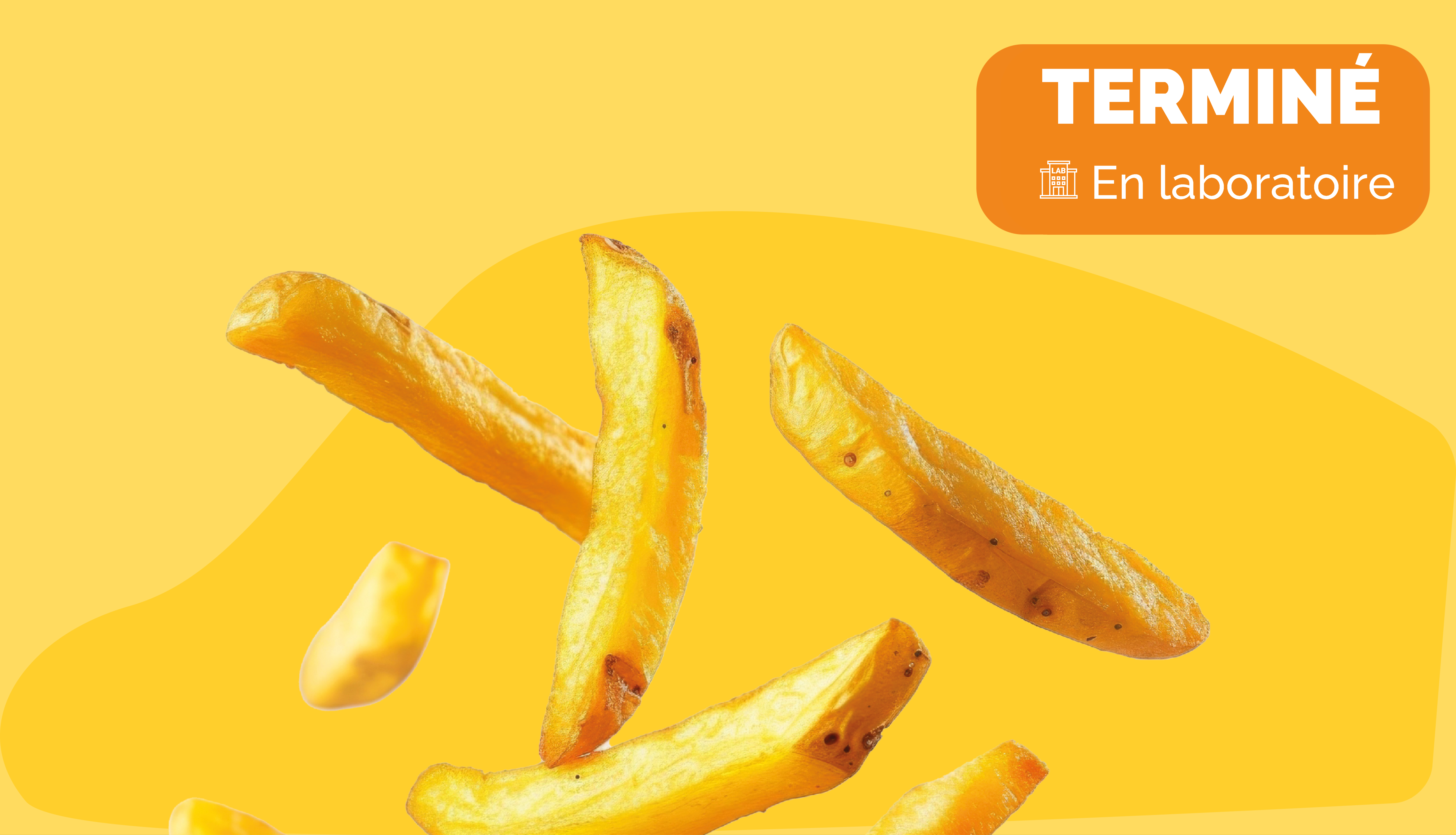 Venez participer à notre test consommateur de frites à Cergy avec Mérieux Nutrisciences !