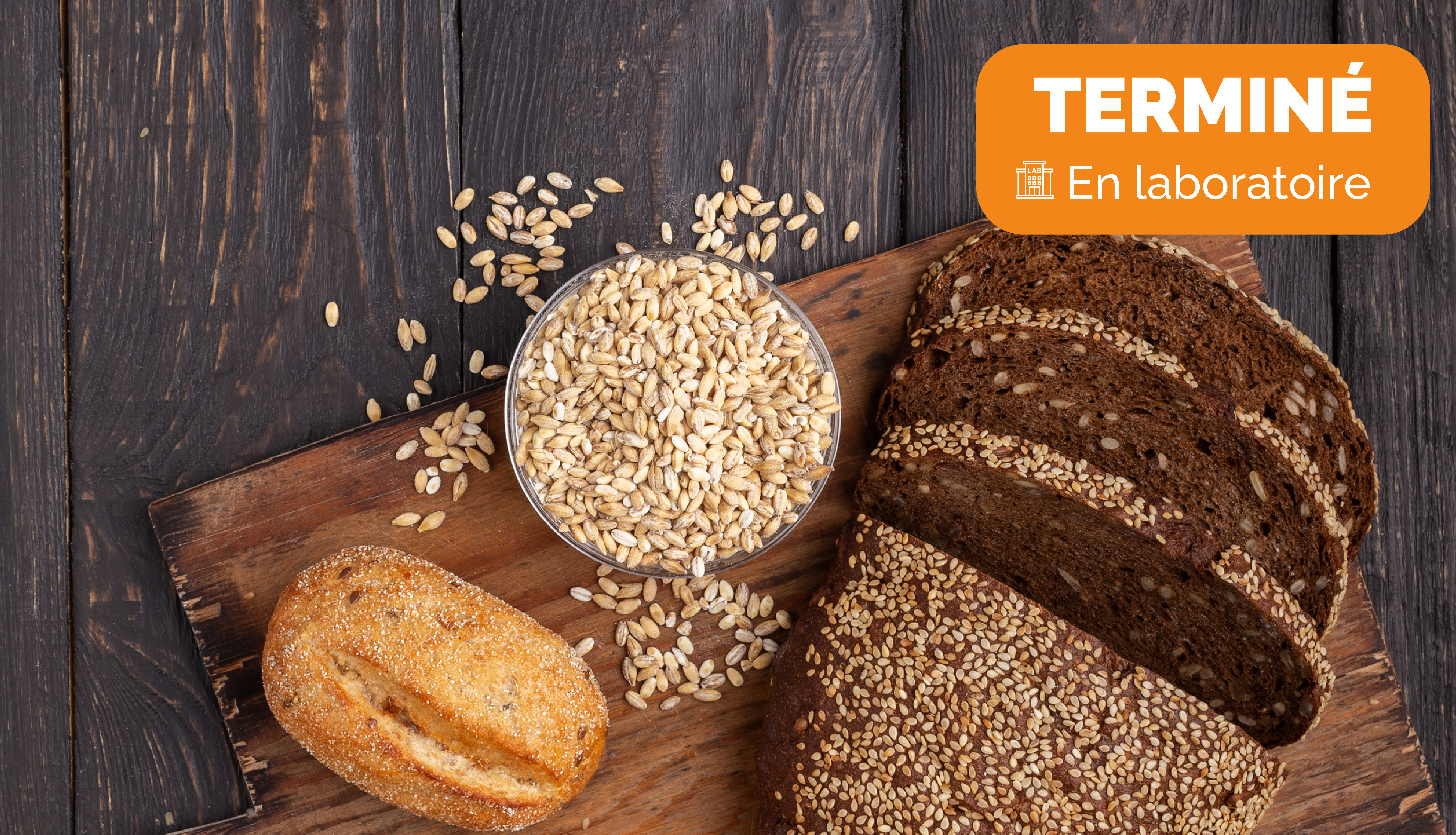 Instant dégustation… Venez tester nos produits sans gluten !