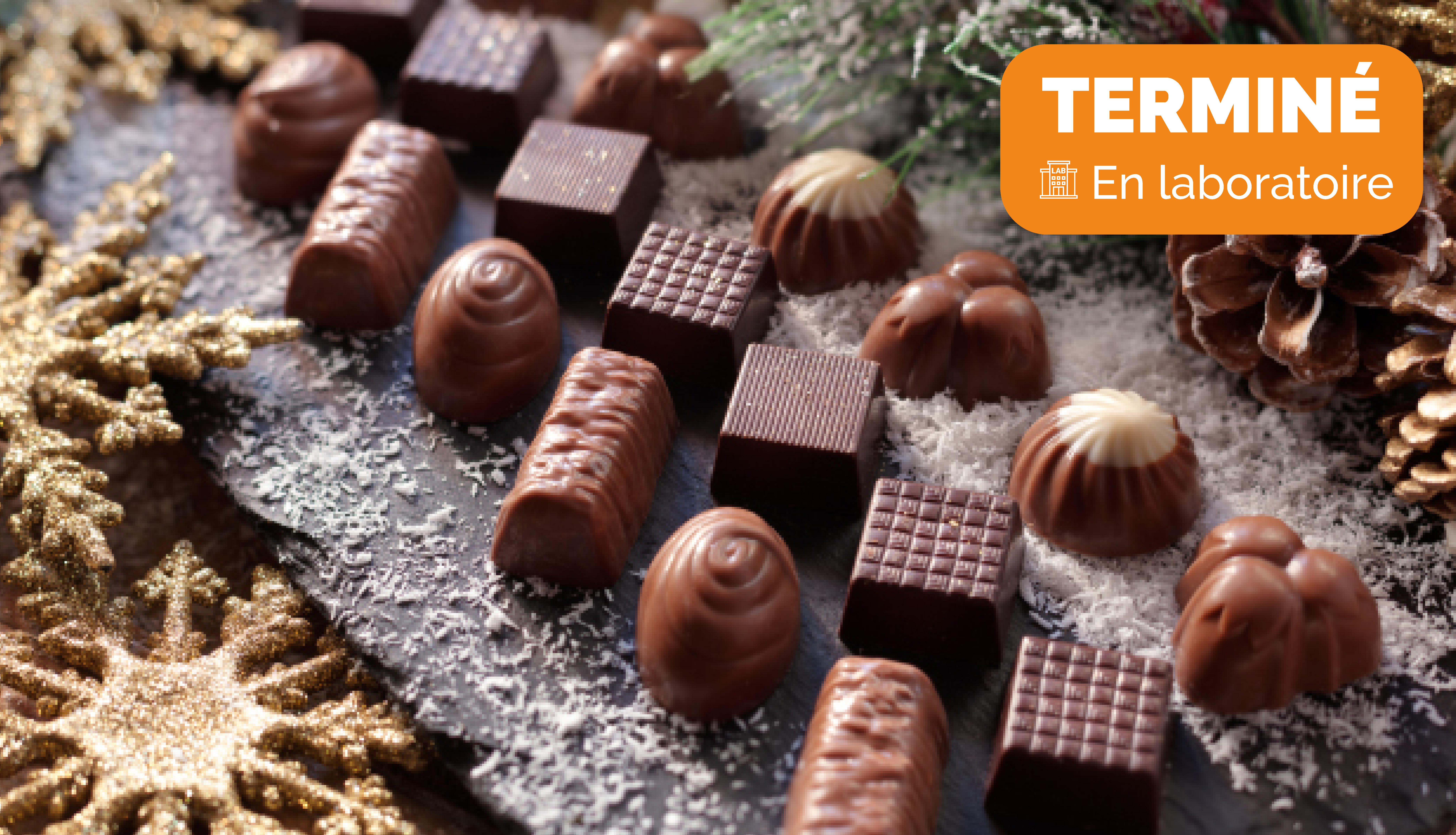 Envie de chocolats ? Venez succomber à la tentation et goûtez-les !