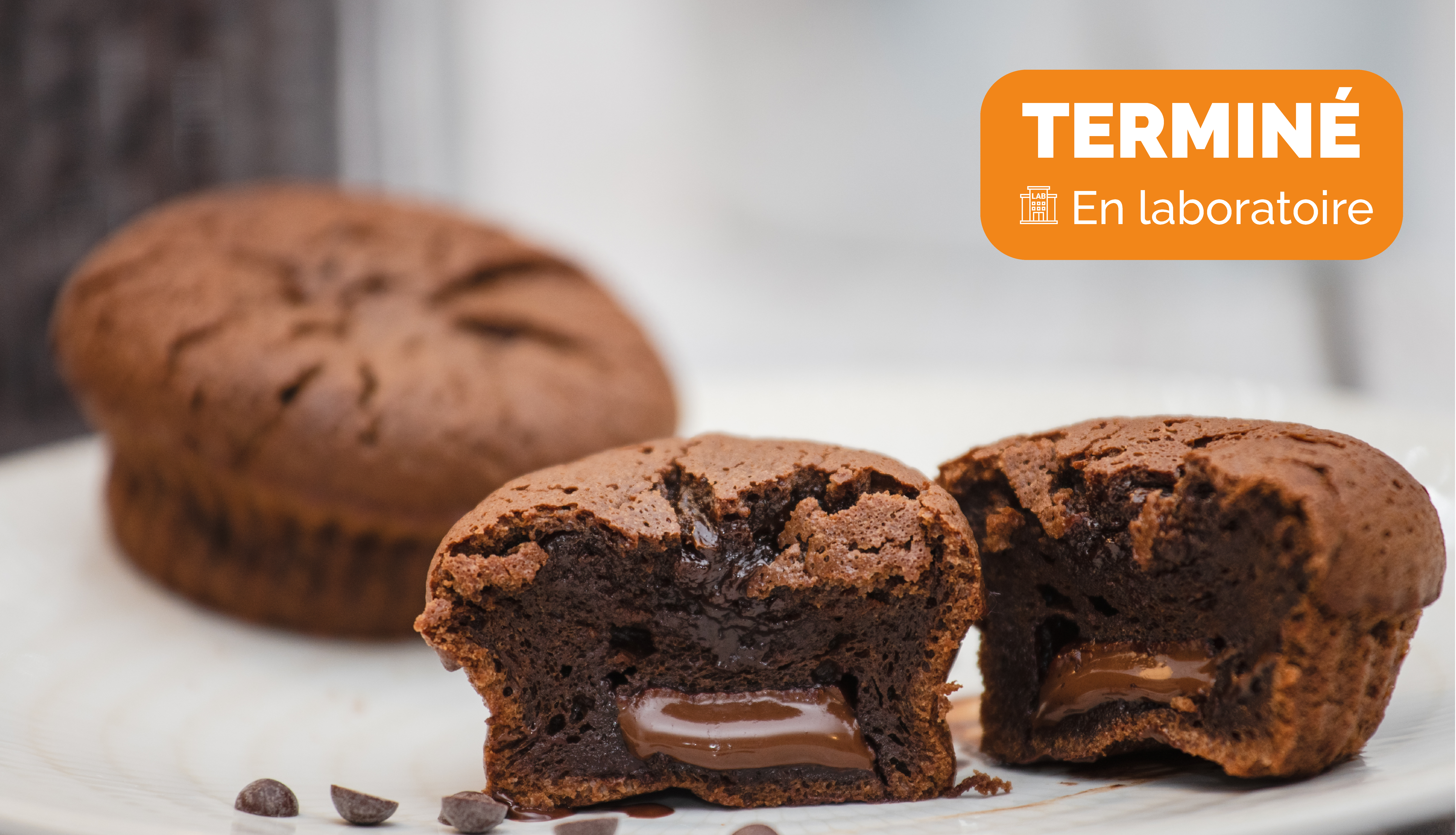 Craquez pour nos moelleux au chocolat !