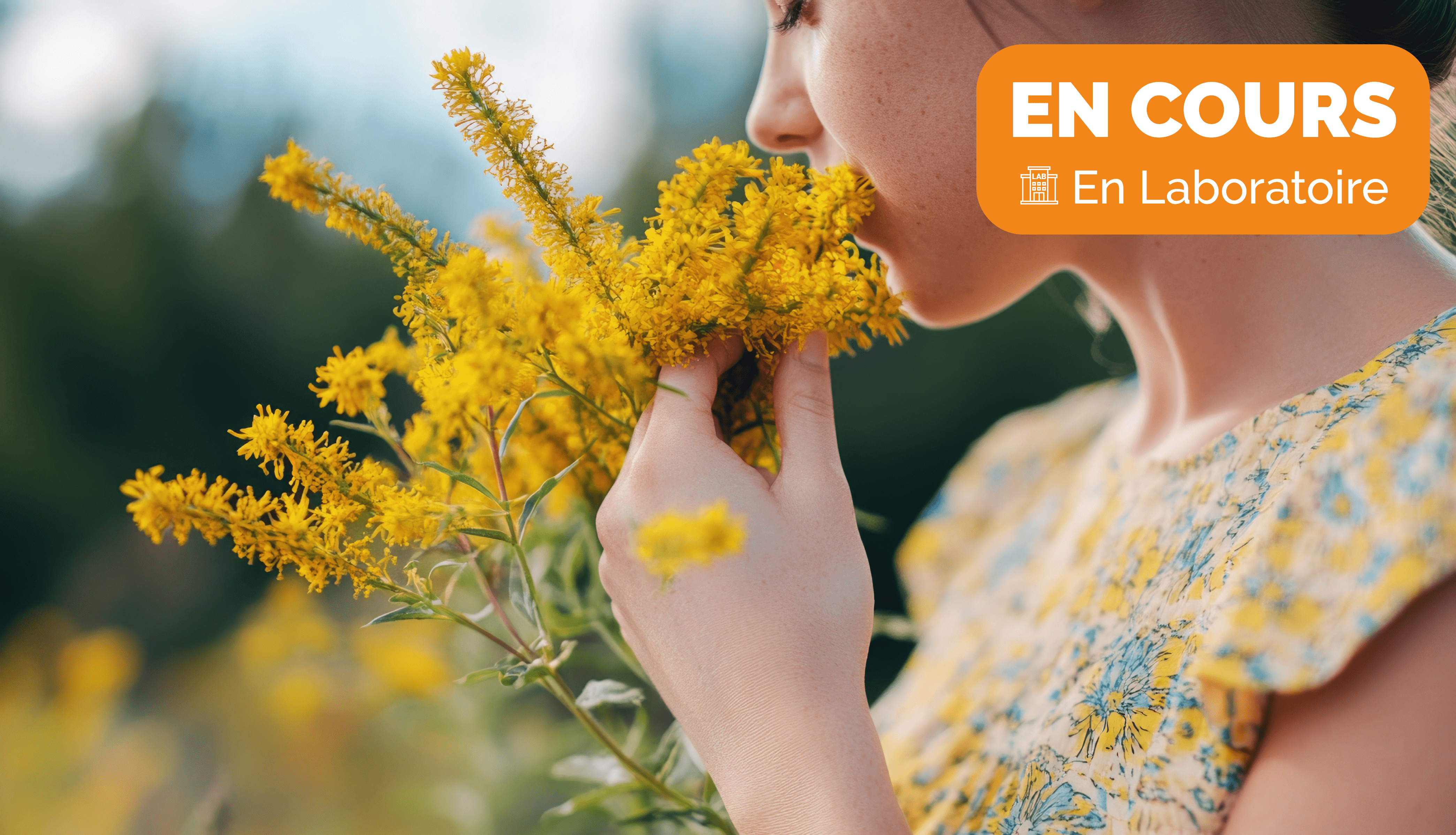 Offrez à votre intérieur une touche parfumée !