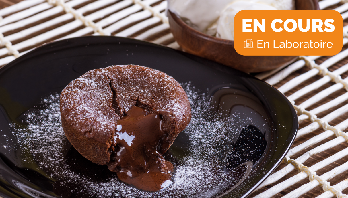 Venez déguster des fondants au chocolat !