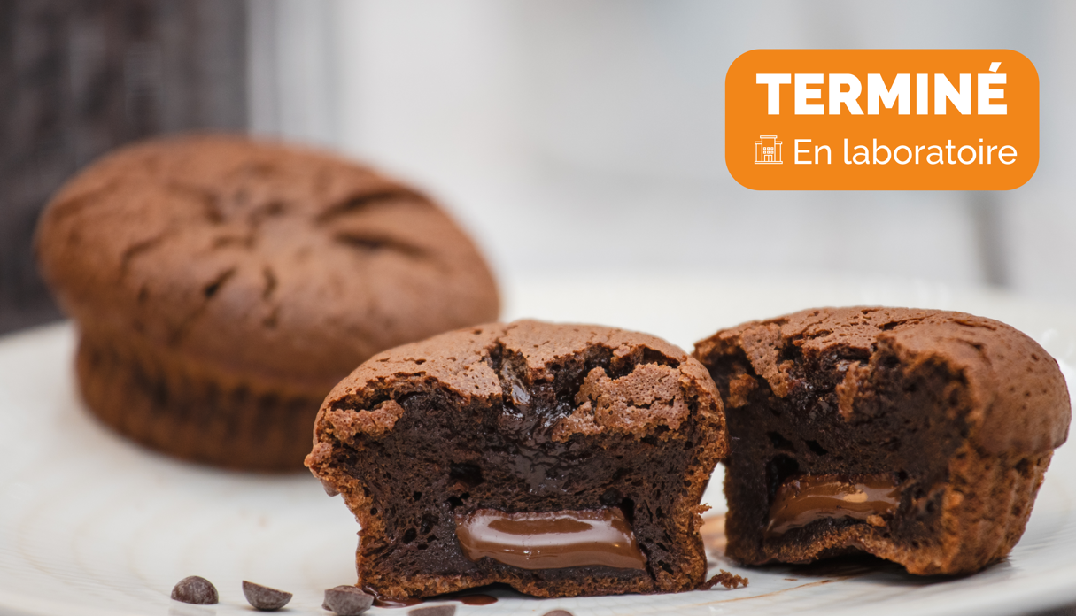 Venez déguster des fondants au chocolat !
